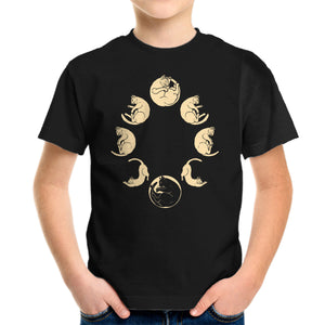 Moon Cycle
