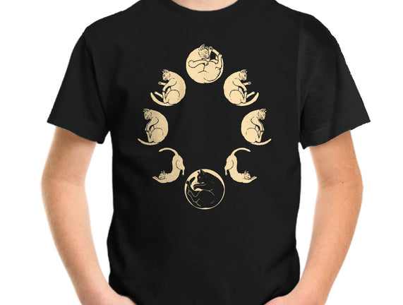 Moon Cycle