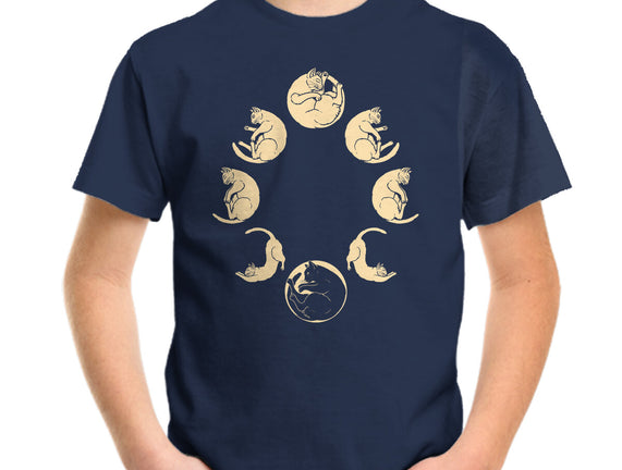 Moon Cycle