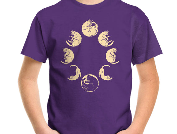 Moon Cycle