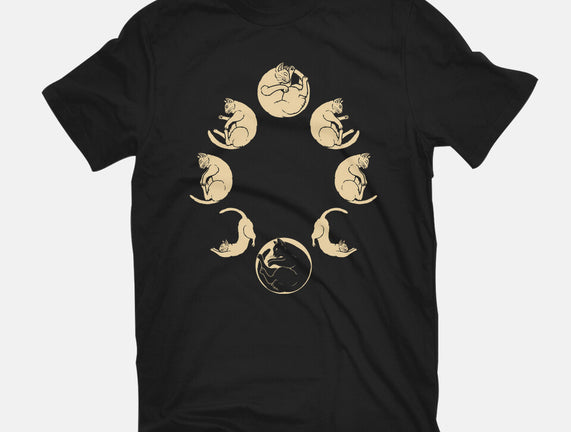 Moon Cycle