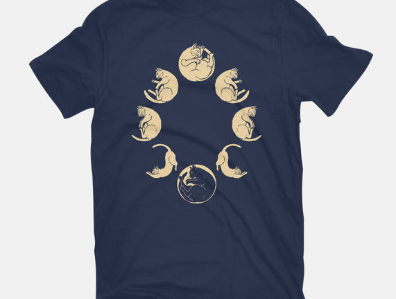 Moon Cycle