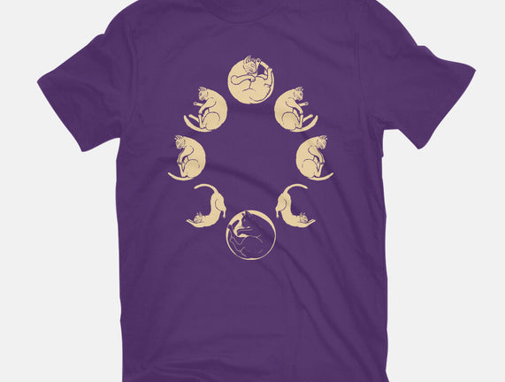Moon Cycle