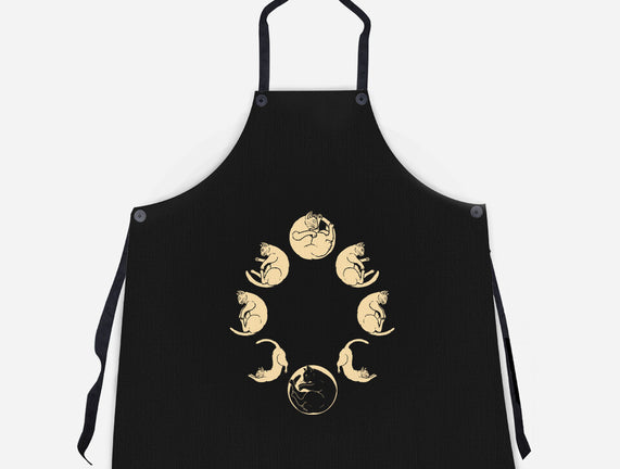 Moon Cycle
