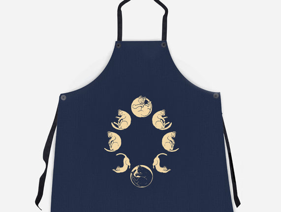 Moon Cycle