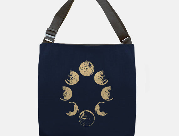 Moon Cycle