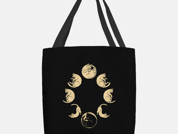 Moon Cycle