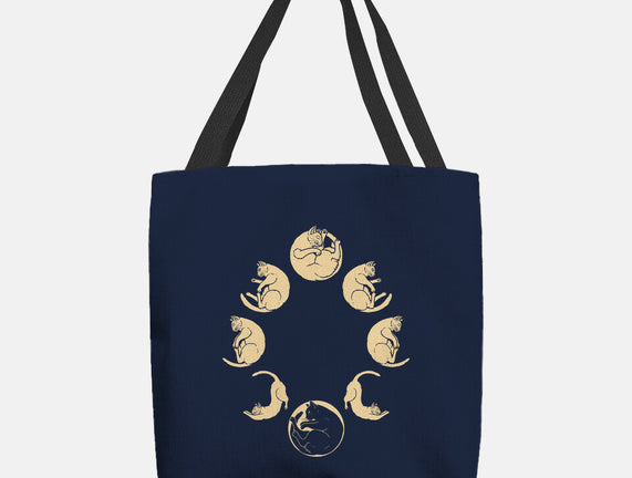 Moon Cycle