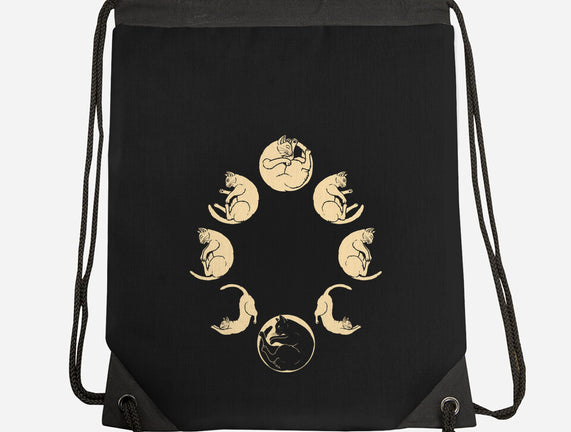 Moon Cycle