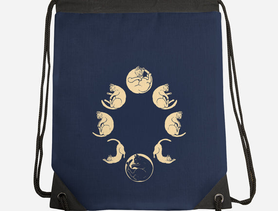 Moon Cycle