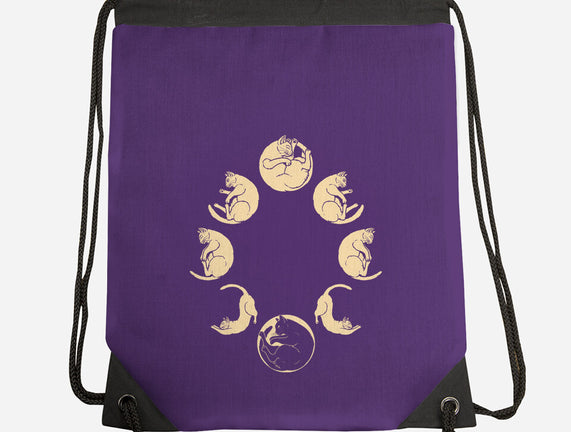 Moon Cycle