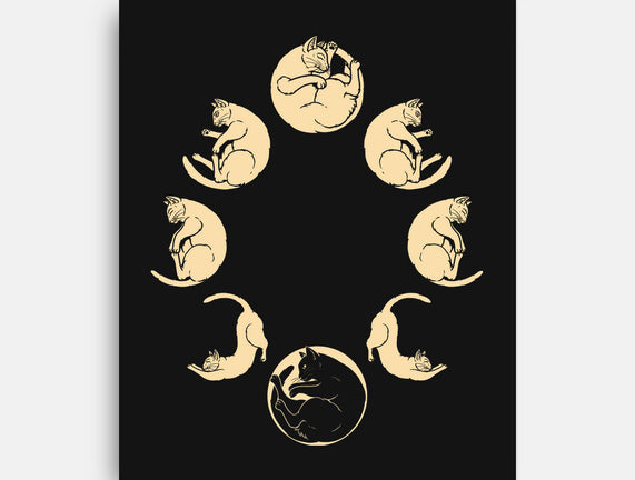 Moon Cycle