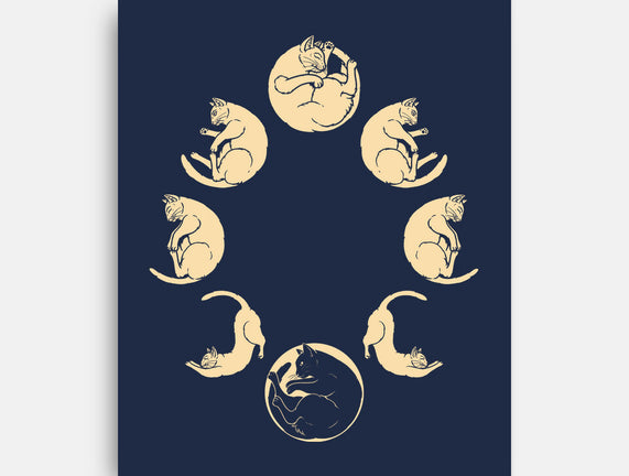 Moon Cycle