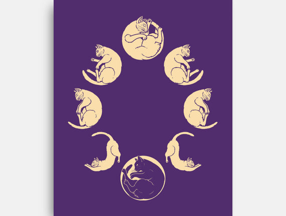 Moon Cycle