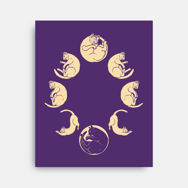Moon Cycle-None-Stretched-Canvas-Thiago Correa