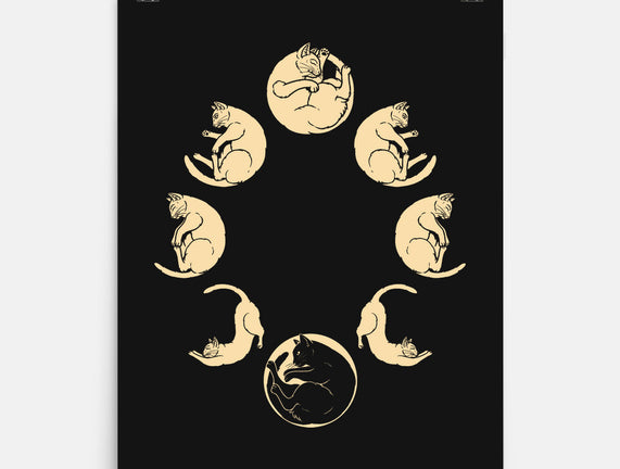 Moon Cycle