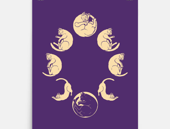 Moon Cycle