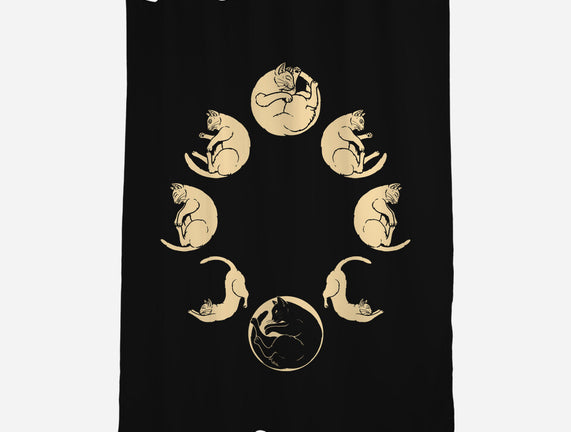 Moon Cycle