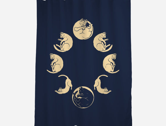 Moon Cycle