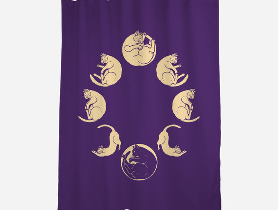 Moon Cycle