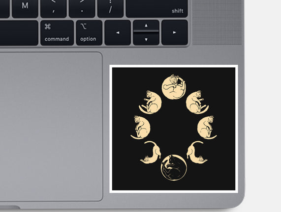 Moon Cycle
