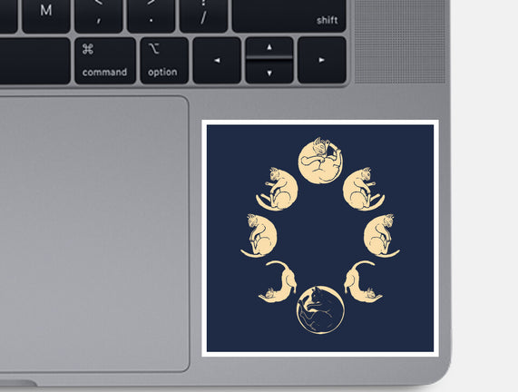 Moon Cycle