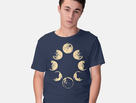 Moon Cycle