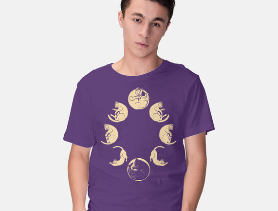 Moon Cycle