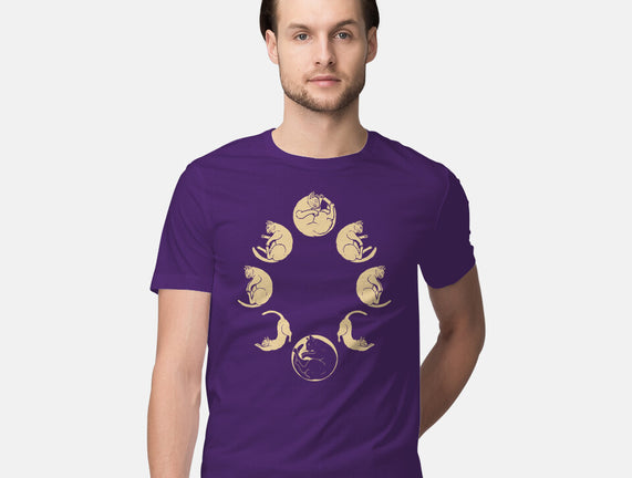 Moon Cycle