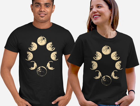 Moon Cycle