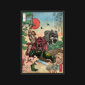 Prince Of Eternia In Japan