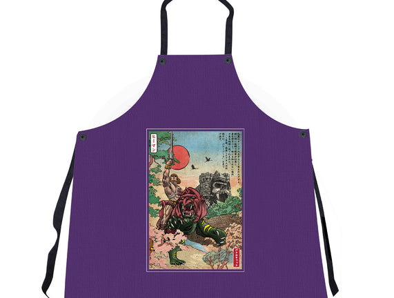 Prince Of Eternia In Japan