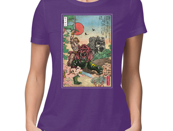 Prince Of Eternia In Japan