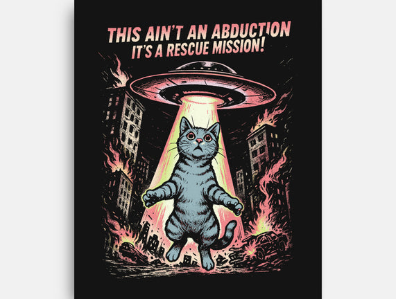 It's A Rescue Mission