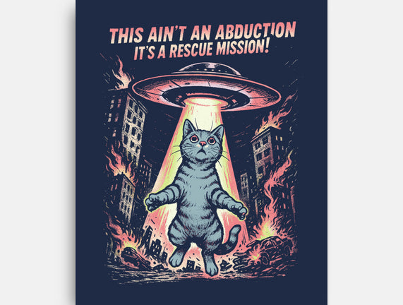 It's A Rescue Mission