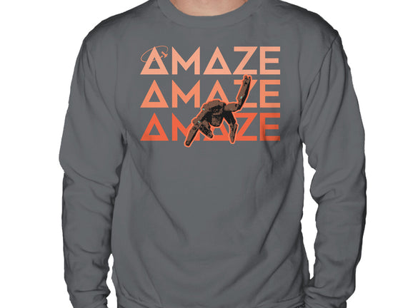 Project Amaze Amaze Amaze