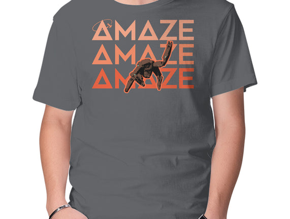 Project Amaze Amaze Amaze