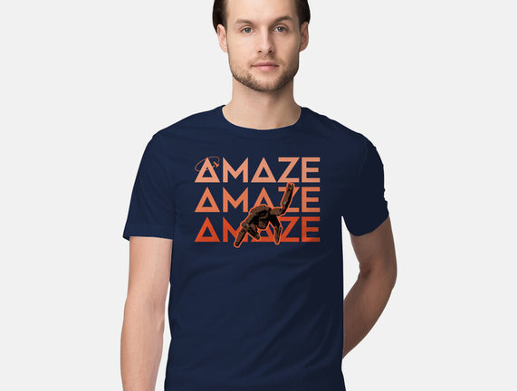 Project Amaze Amaze Amaze