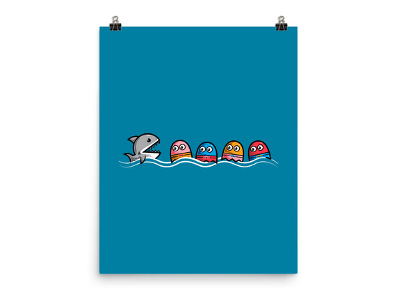 Summer Pac Shark