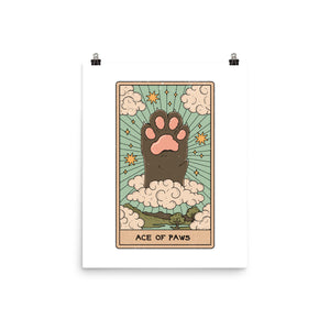 The Ace Of Paws