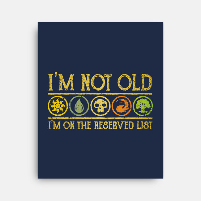 I Am On The Reserved List-None-Stretched-Canvas-kg07