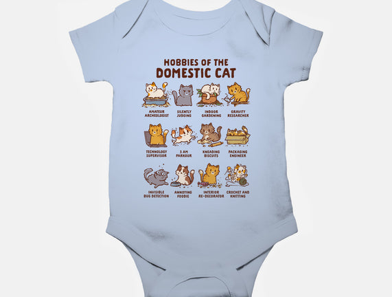 Cat Hobbies