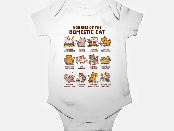Cat Hobbies
