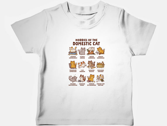 Cat Hobbies