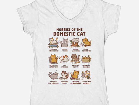 Cat Hobbies