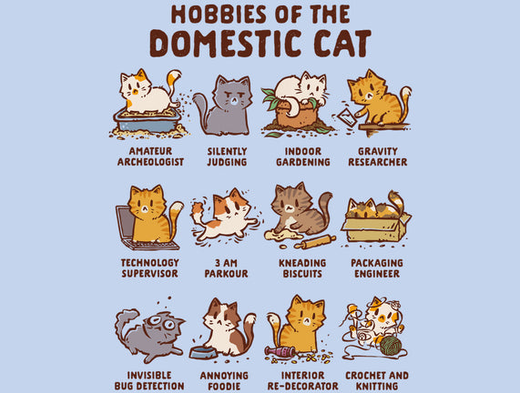 Cat Hobbies