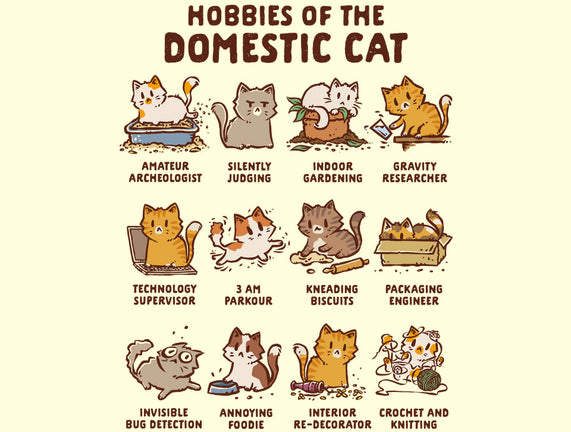Cat Hobbies