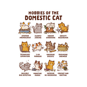 Cat Hobbies