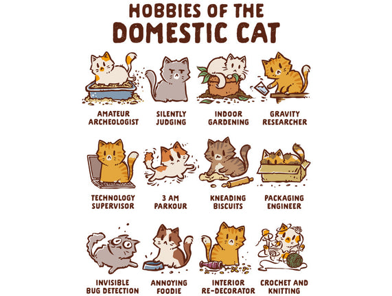 Cat Hobbies