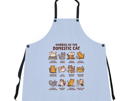 Cat Hobbies